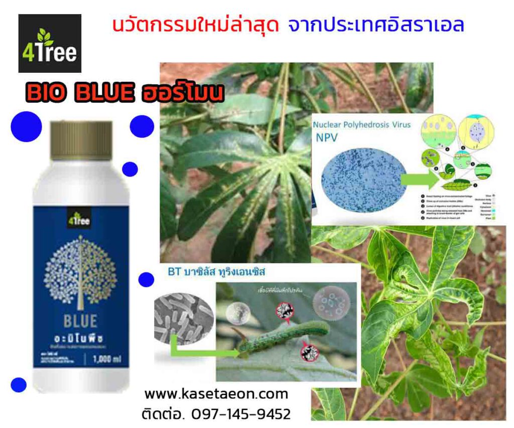 4treebio