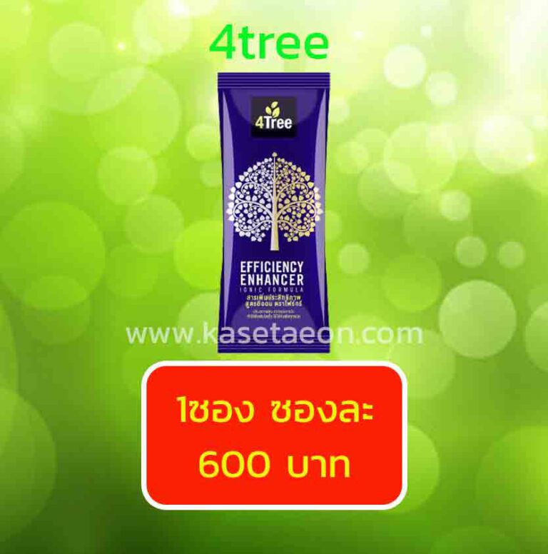 4tree โฟร์ทรี